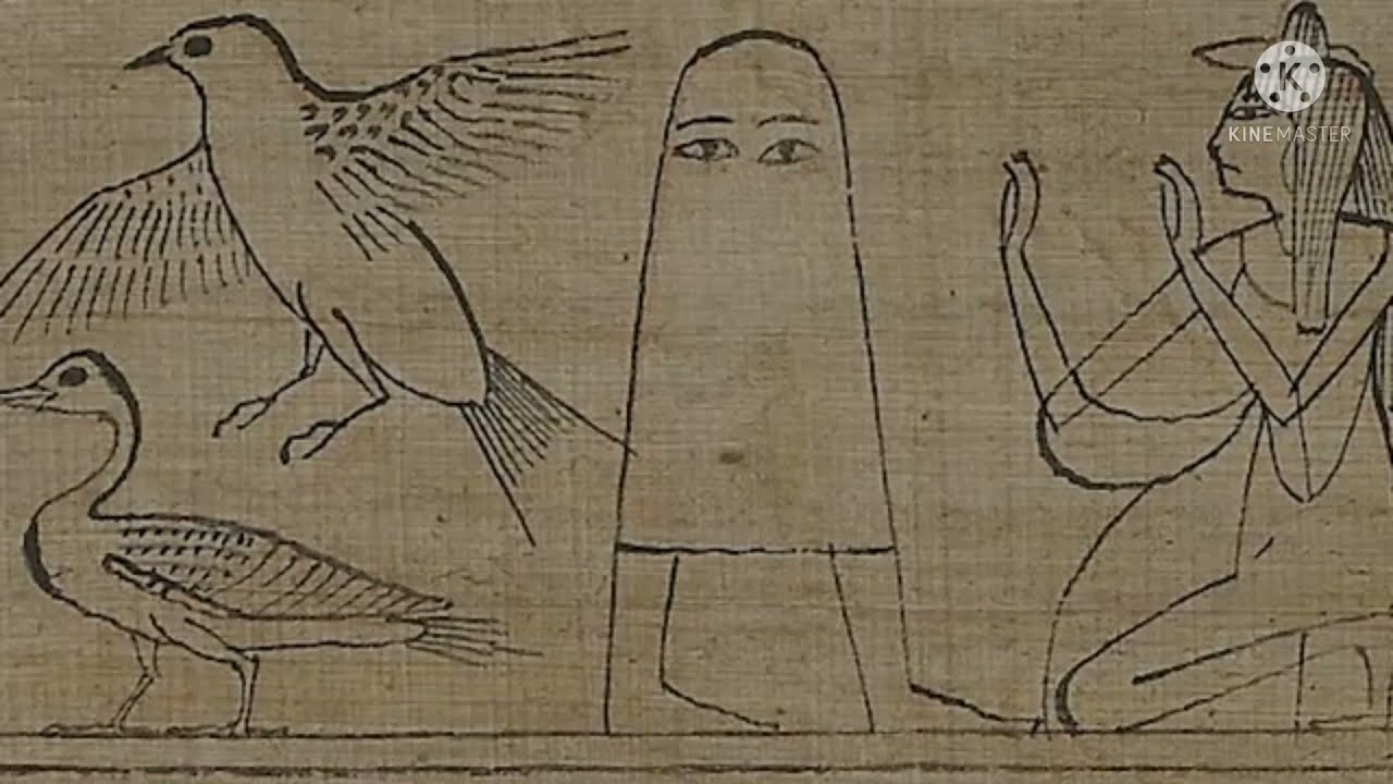 So This Is What Amogus Looks Like In May 13 3100 BC YouTube so-this-is-what-amogus-looks-like-in-may-13-3100-bc-youtube