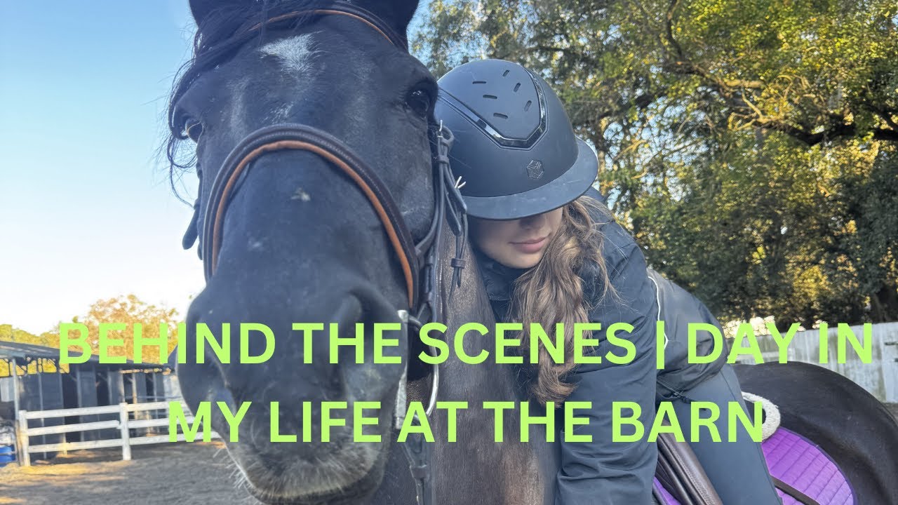 BEHIND THE SCENES DAY IN MY LIFE AT THE BARN | Claire.Equus - YouTube
