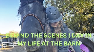 BEHIND THE SCENES DAY IN MY LIFE AT THE BARN | Claire.Equus