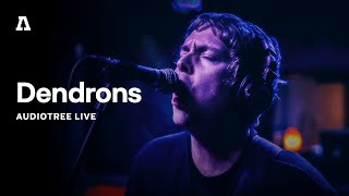 Dendrons on Audiotree Live (Full Session)