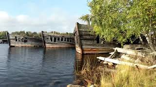 photo journal 02 - autumn islands (norrbyskär, sweden) #35mm #filmphotography