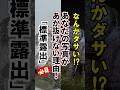 「標準露出はNG？写真がダサくなる原因はこれ」 #フォトコンテスト #写真上達 #写真講座 #ミラーレス #写真の撮り方