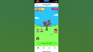 🍅Tomarket Airdrop Combo 11 October | Tomarket Daily Combo Today | Tomarket Secret Combo Today