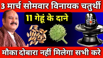 3 मार्च सोमवार विनायक चतुर्थी को 11 गेहूं के दाने वाला उपाय जरुर करे || Pradeep Ji Mishra #Somwar