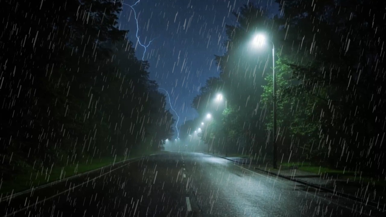 Cozy Rain Sounds at Night beside Quiet Urban Arboretum for Insomnia Relief | Gentle Storm