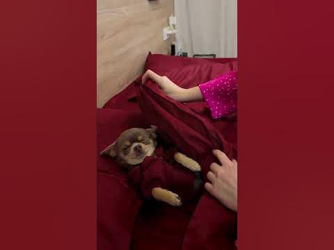 Надобраніч 🤗 - YouTube
