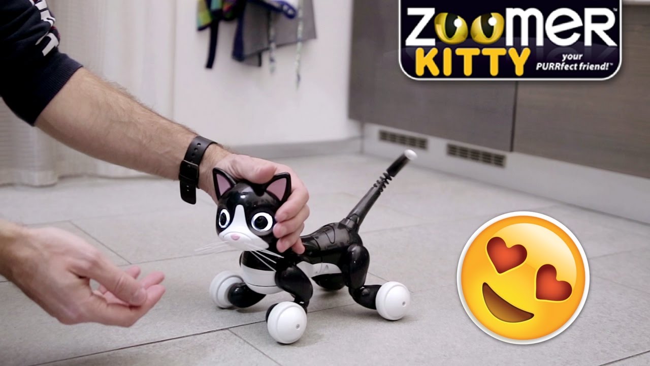 ZOOMER KITTY: la GATTINA ROBOT coccolosa che SEMBRA VERA - YouTube