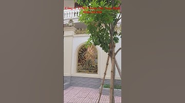 Cổng tự động Thái Nguyên