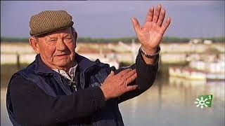 Temporada del boquerón en Sanlúcar de Barrameda (Cádiz)