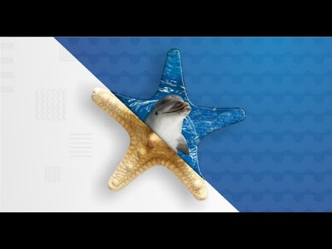Radijo gidas „Pajūriais,