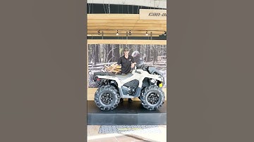 5 reasons why you need...