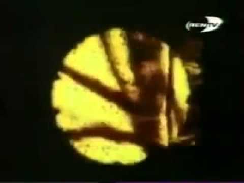 Промо ролики РЕН ТВ 01 1997 09 1997