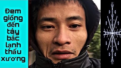 Dúi trung quốc | Dúi mốc đại | Chuyển 50 cặp dúi giống đến vùng tây bắc mùa lạnh | Chuột Tre 360