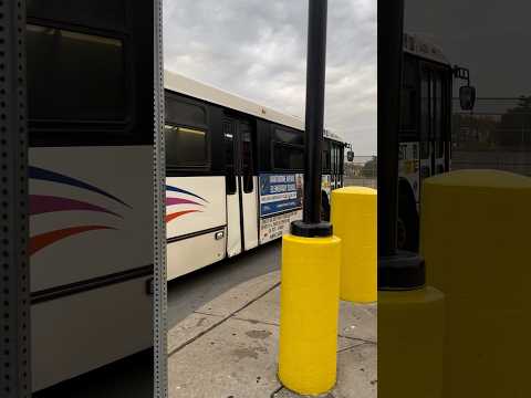 NJT 2008 NABI 40-SFW Suburban 416.15 5423 26KU to Eliz via Kean University