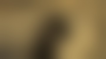 Fallout New Vegas Modded Play through part 6