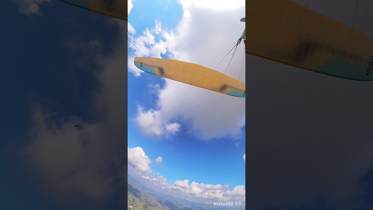 Born to be wild Artik R revolution 