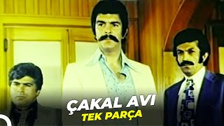 Çakal Avı | Eski Türk Filmi Full İzle
