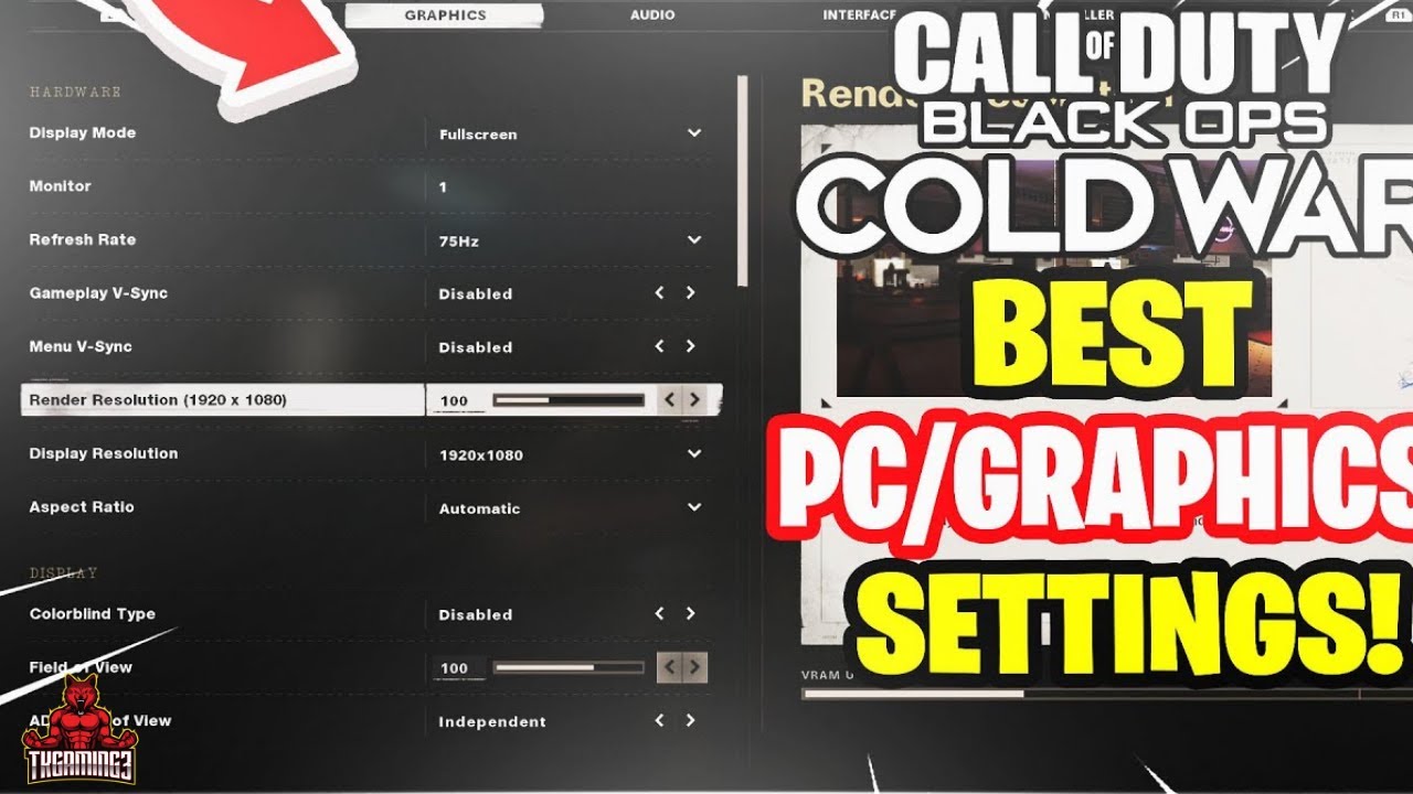 BO Cold War Best Settings PC 