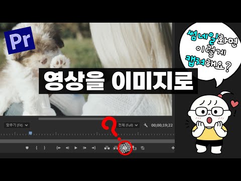 프리미어프로에서 원하는 장면을 이미지로 캡쳐해 저장하는 방법, 썸네일 이미지 추출