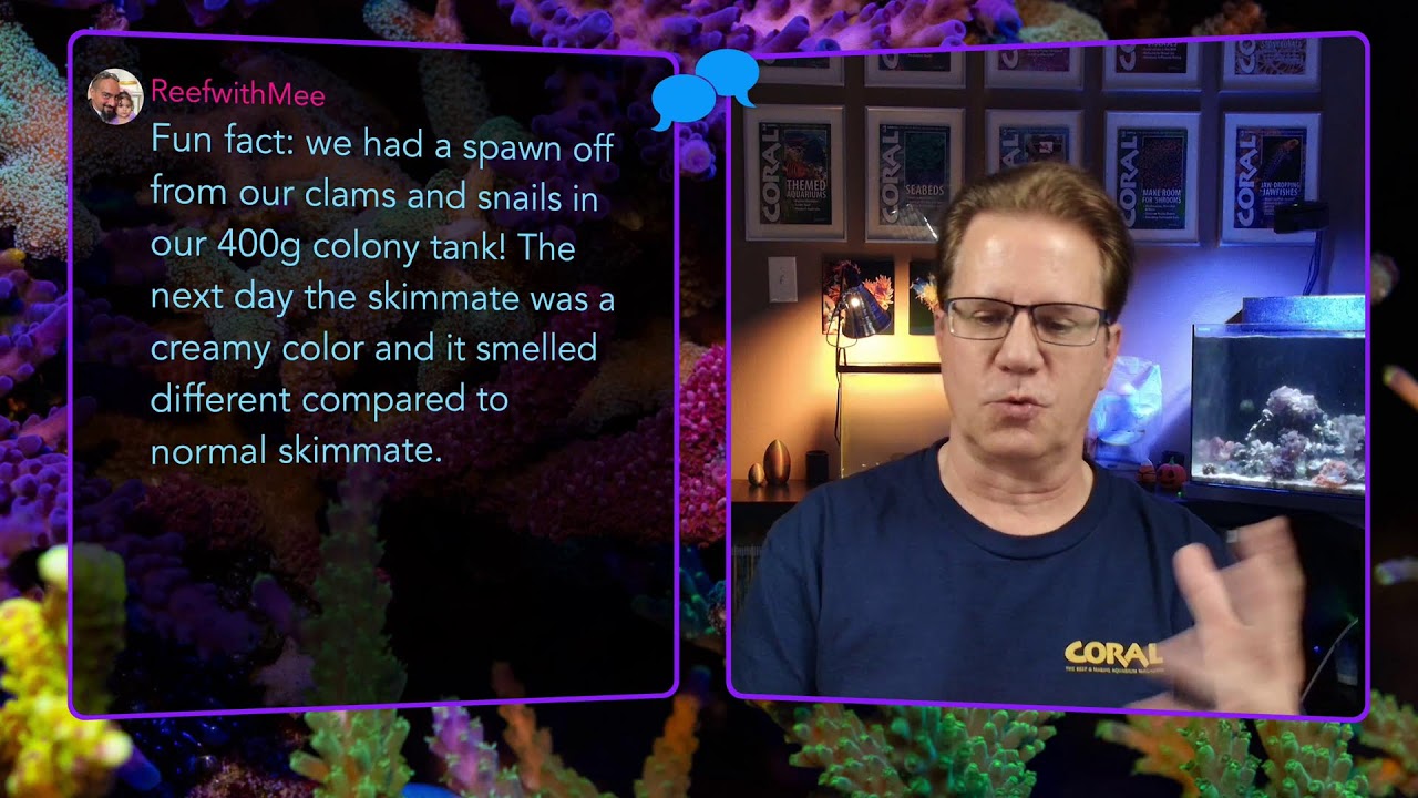 Обновления и ответы на ваши вопросы