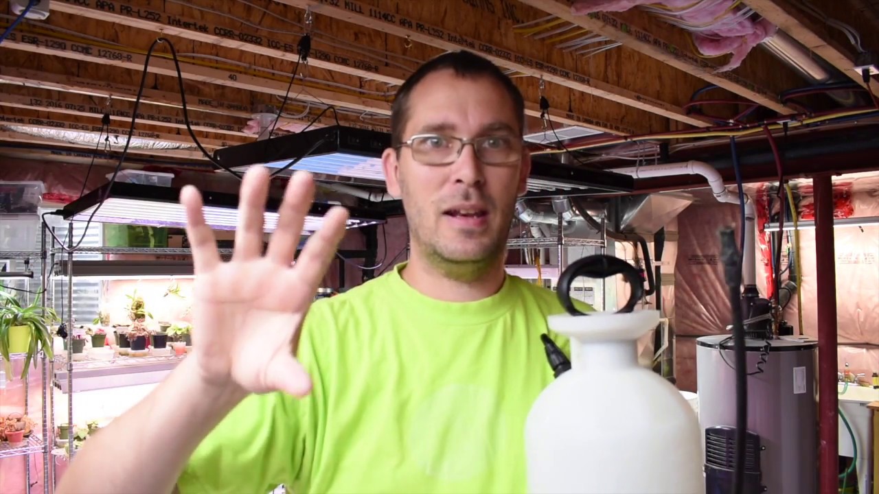 Homemade Insecticidal Soap - YouTube