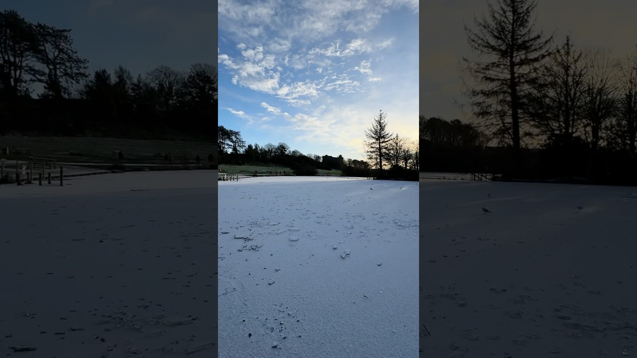 This Song 🥀❤️ #nature #hindisong #india #reels #foryou #shorts