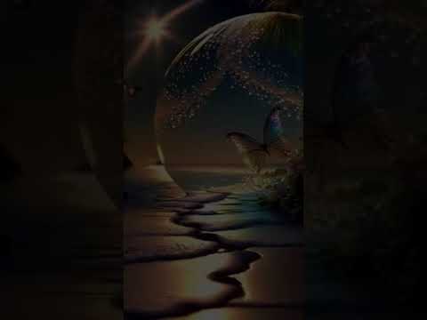 ١٦ نوفمبر ٢٠٢٥