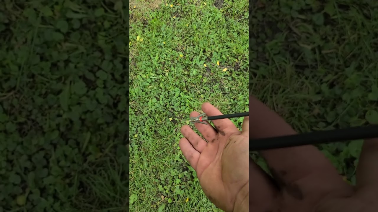 2 Blade Rage Hypodermic Penetration Test 