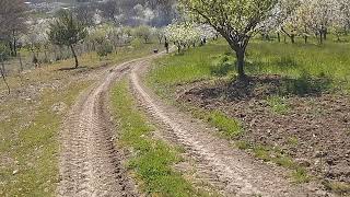 Kütük Yuvarlanıyor 😀😀