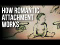 How Romantic Attachment Works