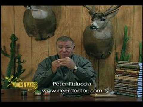 Deer Calling Tips: Fawn Distress Bleat Sequence