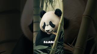 Panda Keunikan Mengejutkan Terungkap