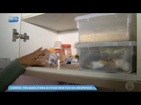 Vídeo: Minhoca da refeição - quem é? Como se livrar de larvas de farinha