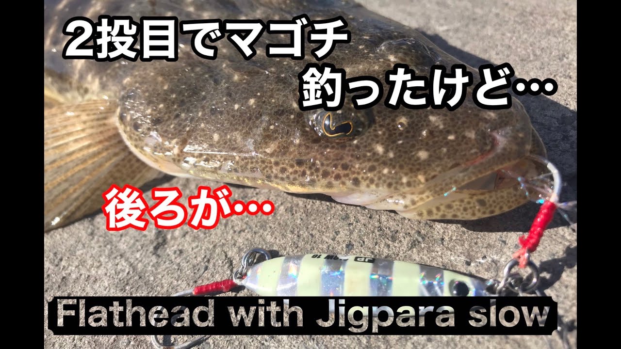 ジグパラスピン激アツ Japanese Lure 湾内浅瀬でライトショアジギング青物 Light Shore Jigging At Terrigal Youtube