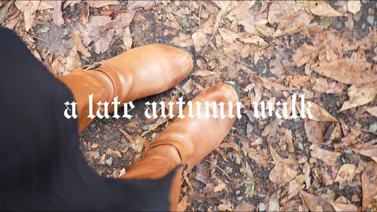 🐶🍂a late autumn walk