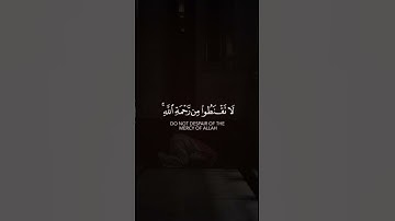 *القارئ/ بدر التركي*🤍✨