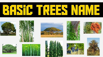 Trees name English and Hindi | | पेड़ पौधों के नाम | Plants Name 🌲