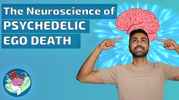 The Neuroscience of Ego Death: How Psychedelics Dissolve the Self