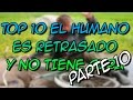 TOP 10 EL HUMANO ES RETRASADO Y NO TIENE CURA PARTE 10 - 8cho