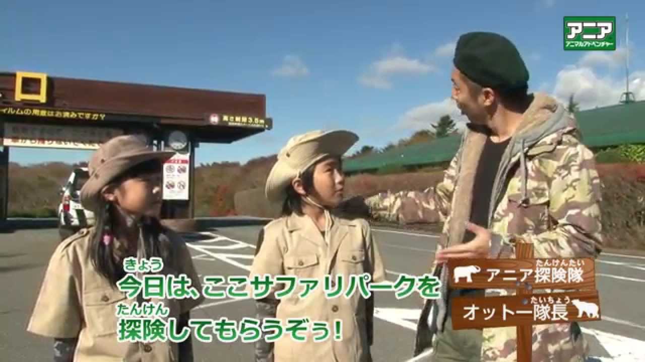 アニア アニア探検隊 In富士サファリパーク Youtube