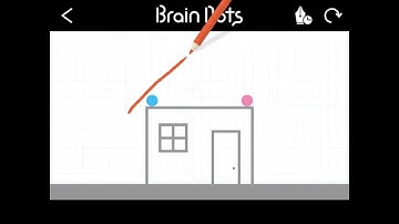 Brain Dots - Level 24
