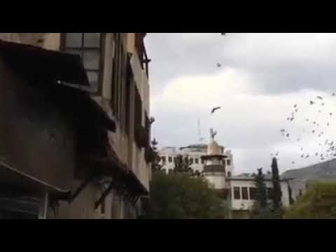 و بعيد صعب اوصلك 