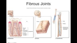 Chapter 9 Introduction to Joints Part1