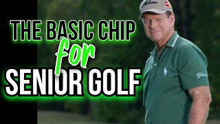 The Basic Chip (It