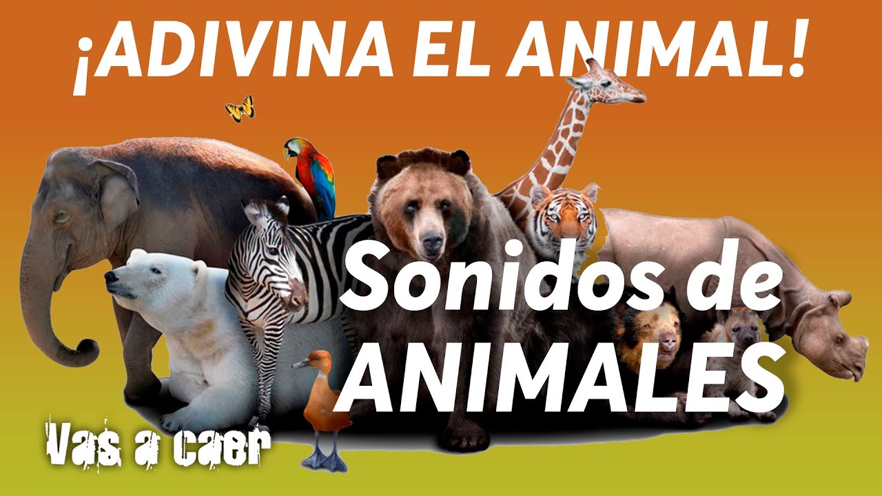 Sonidos de animales para Niños 🐷 ¡Adivina el animal! 👧 Test para niños ...