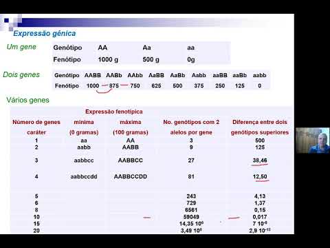 Vídeo: Expressão Diferencial Dos Genes Da Histona H3 E Associação Seletiva Da Variante H3.7 Com Uma Classe De Sequência Específica No Desenvolvimento Macronuclear De Stylonychia