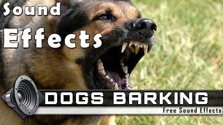 DOGS BARKING Sounds and Voices - Sound Effects by Free Sound Effects 1,621 views 5 years ago 1 minute, 23 seconds