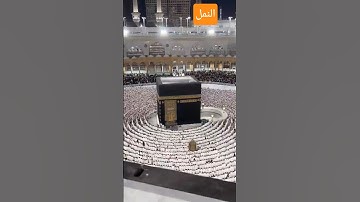 تلاوة عطرة من سورة النمل #القرآن_الكريم #اكسبلور #مكة_المكرمة