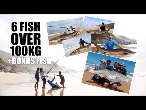 A Mission That Paid Off | 6 Fish Over 100KG & BONUS Edible