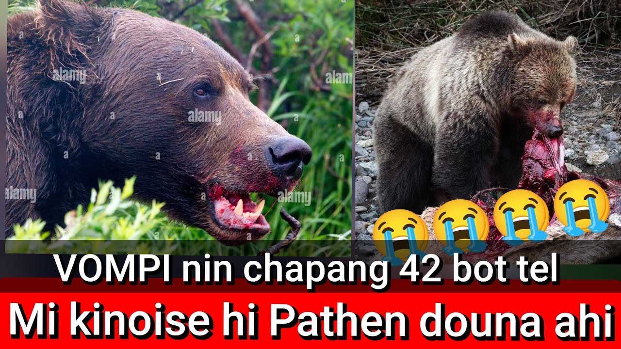 𝙑𝙊𝙈𝙋𝙄 🐻🐻 𝙣𝙞𝙣 𝙂𝙤𝙡𝙝𝙖𝙣𝙜 42 𝙗𝙤𝙩𝙩𝙚𝙡 𝙖 𝙩𝙝𝙖𝙩